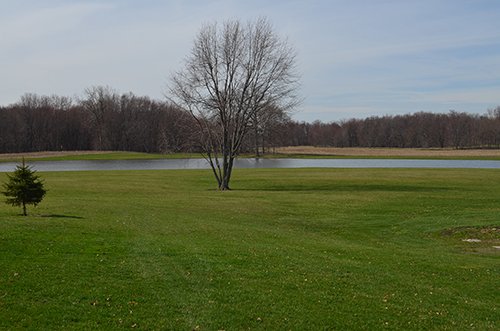 Property photo 72 - REAL ESTATE & PERSONAL PROPERTY AUCTION, 140 Acres offered in 8 Tracts or Combinations in Steuben County
